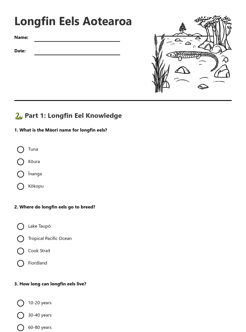 Longfin Eels Aotearoa worksheet preview