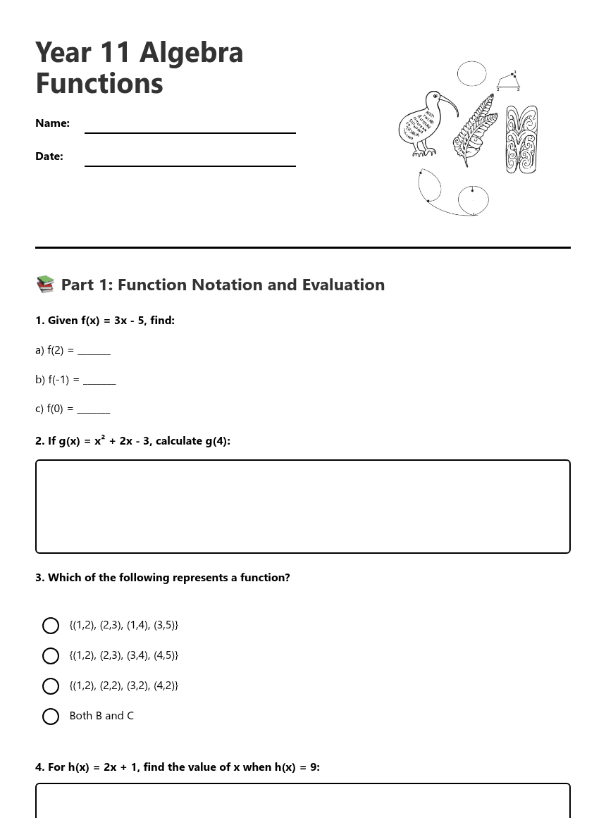 Year 11 Algebra Functions worksheet preview