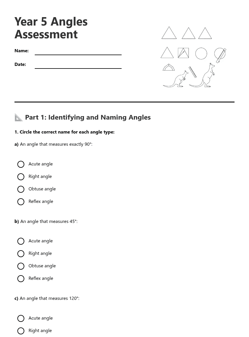 Year 5 Angles Assessment worksheet preview