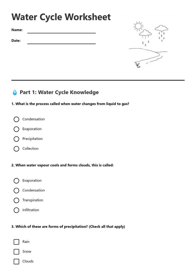 Water Cycle Worksheet