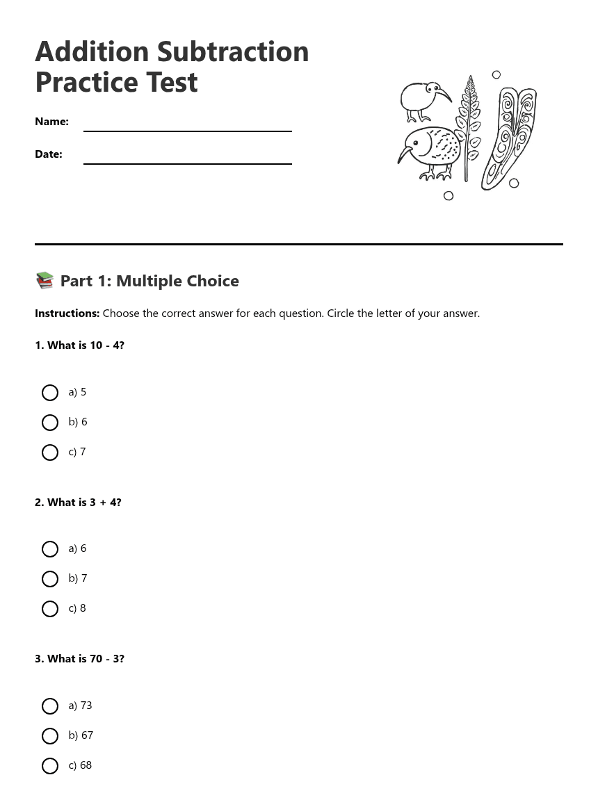 Addition Subtraction Practice Test worksheet preview