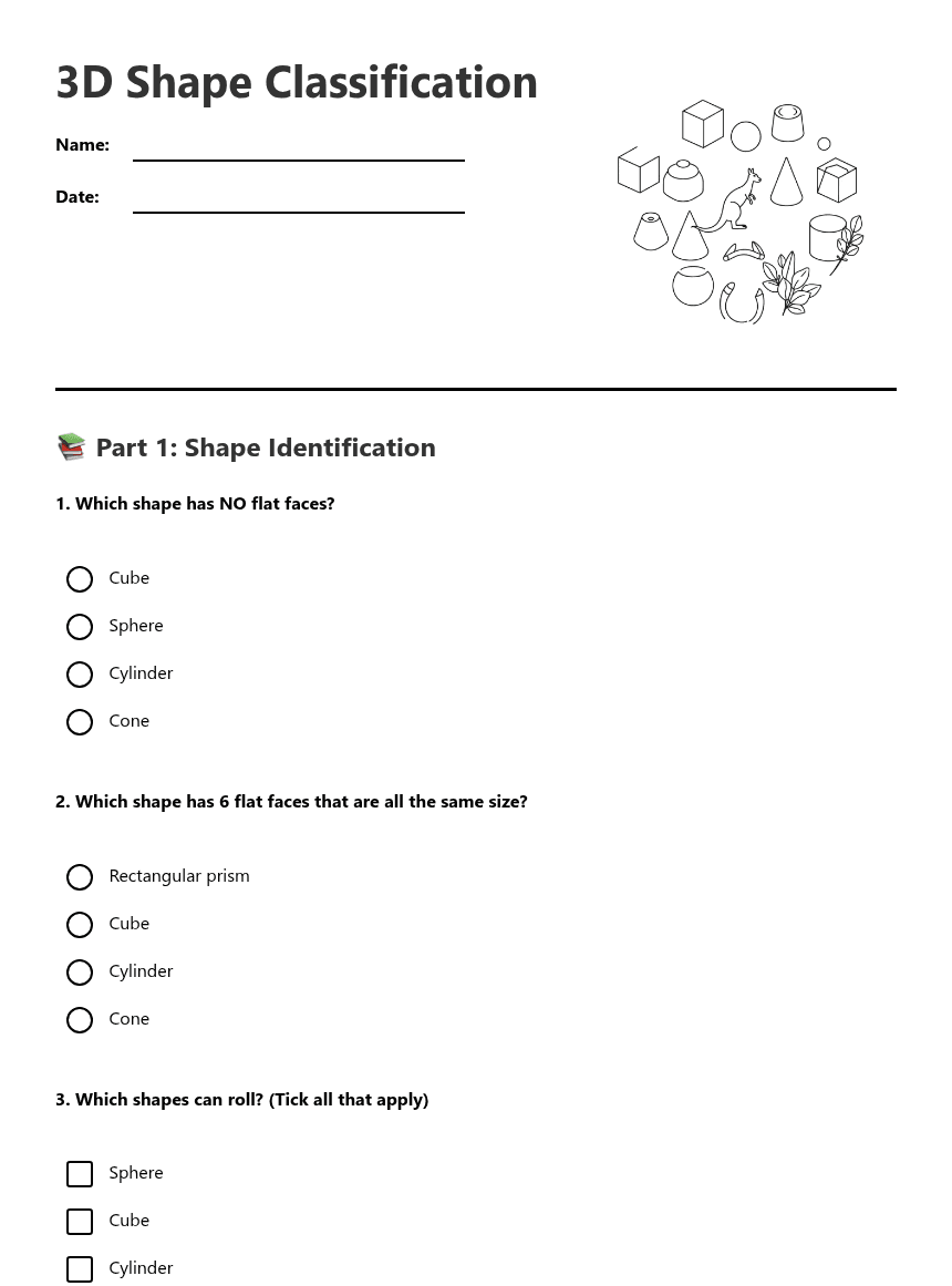3D Shape Classification worksheet preview
