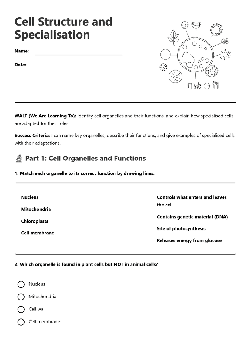 Cell Structure and Specialisation