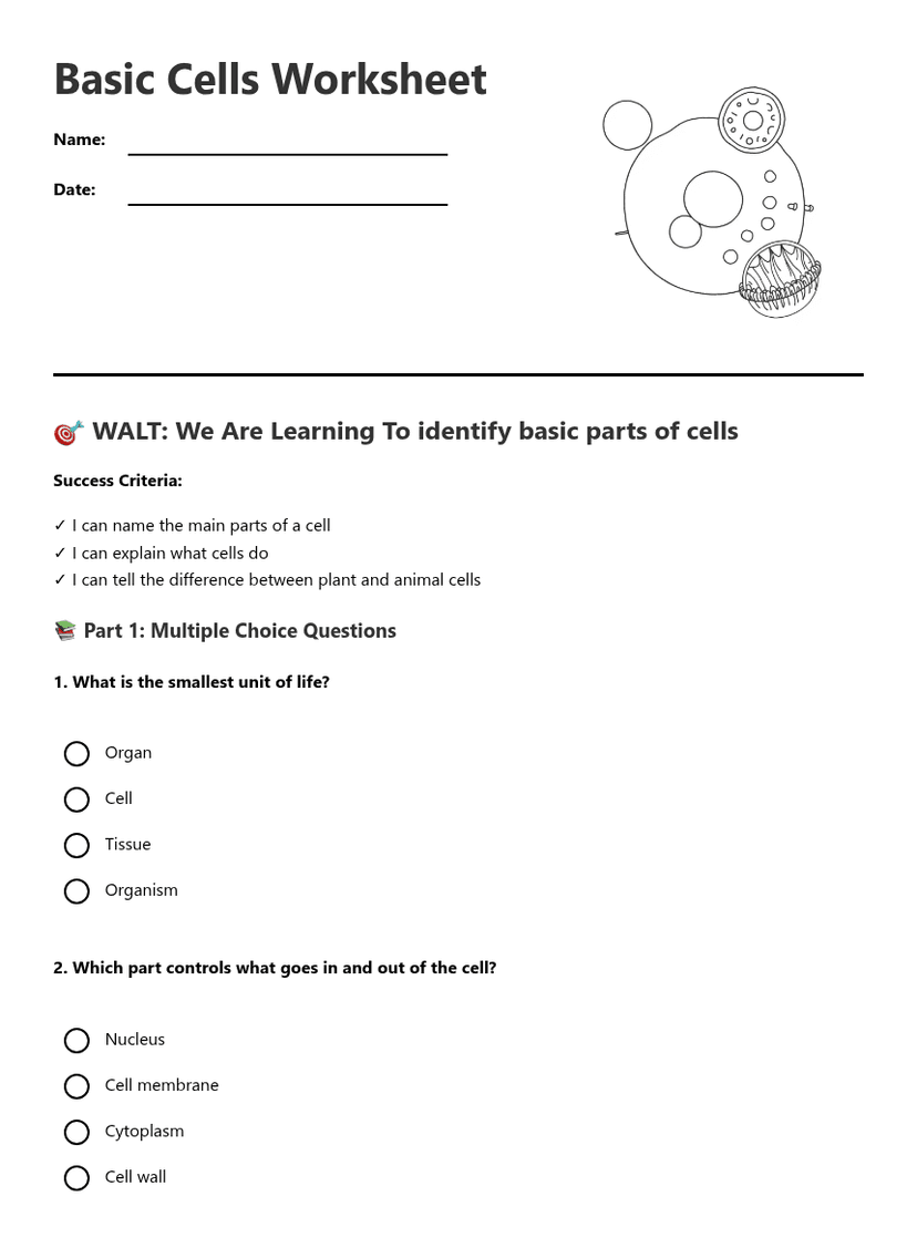 Basic Cells Worksheet