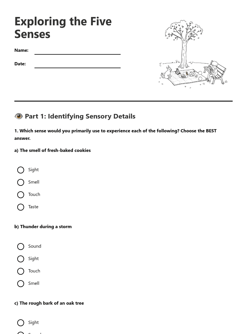 Exploring the Five Senses worksheet preview