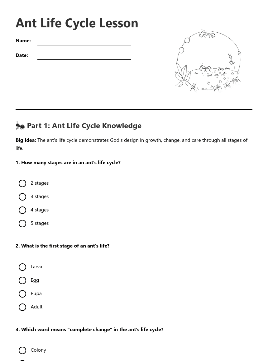 Ant Life Cycle Lesson worksheet preview