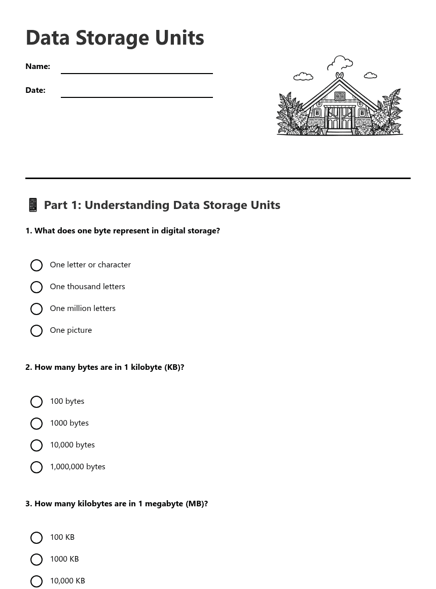Data Storage Units worksheet preview