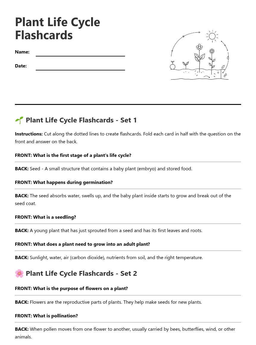 Plant Life Cycle Flashcards worksheet preview