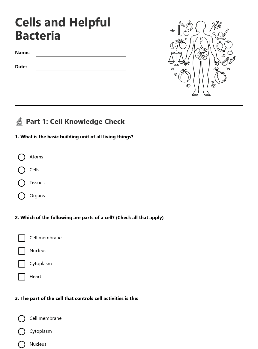 Cells and Helpful Bacteria worksheet preview