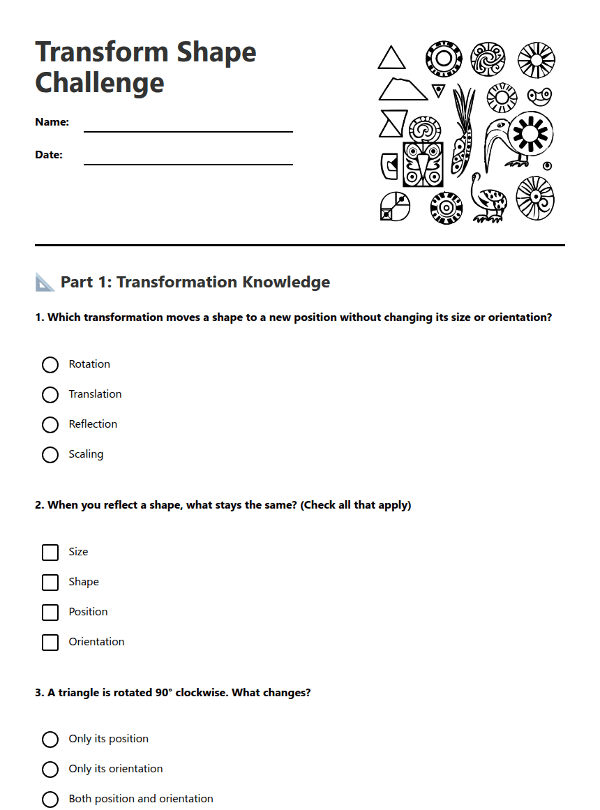 Transform Shape Challenge worksheet preview