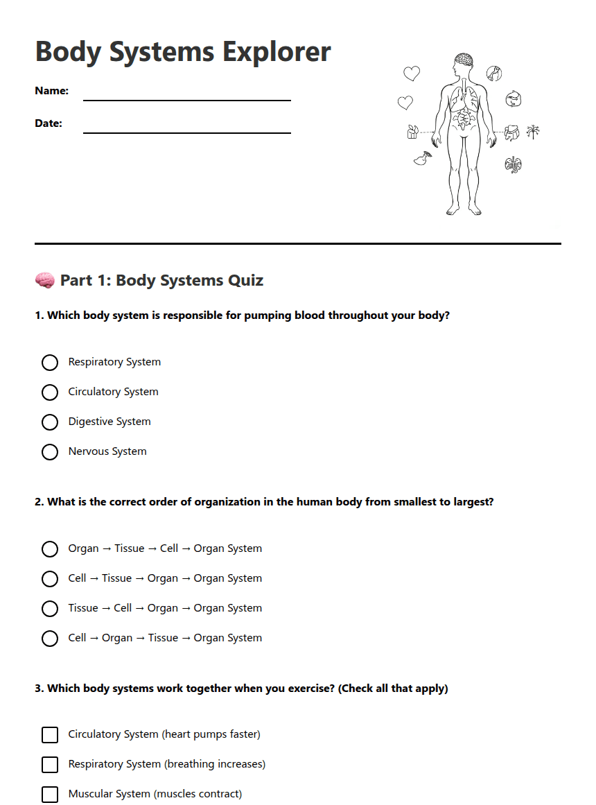 Body Systems Explorer worksheet preview