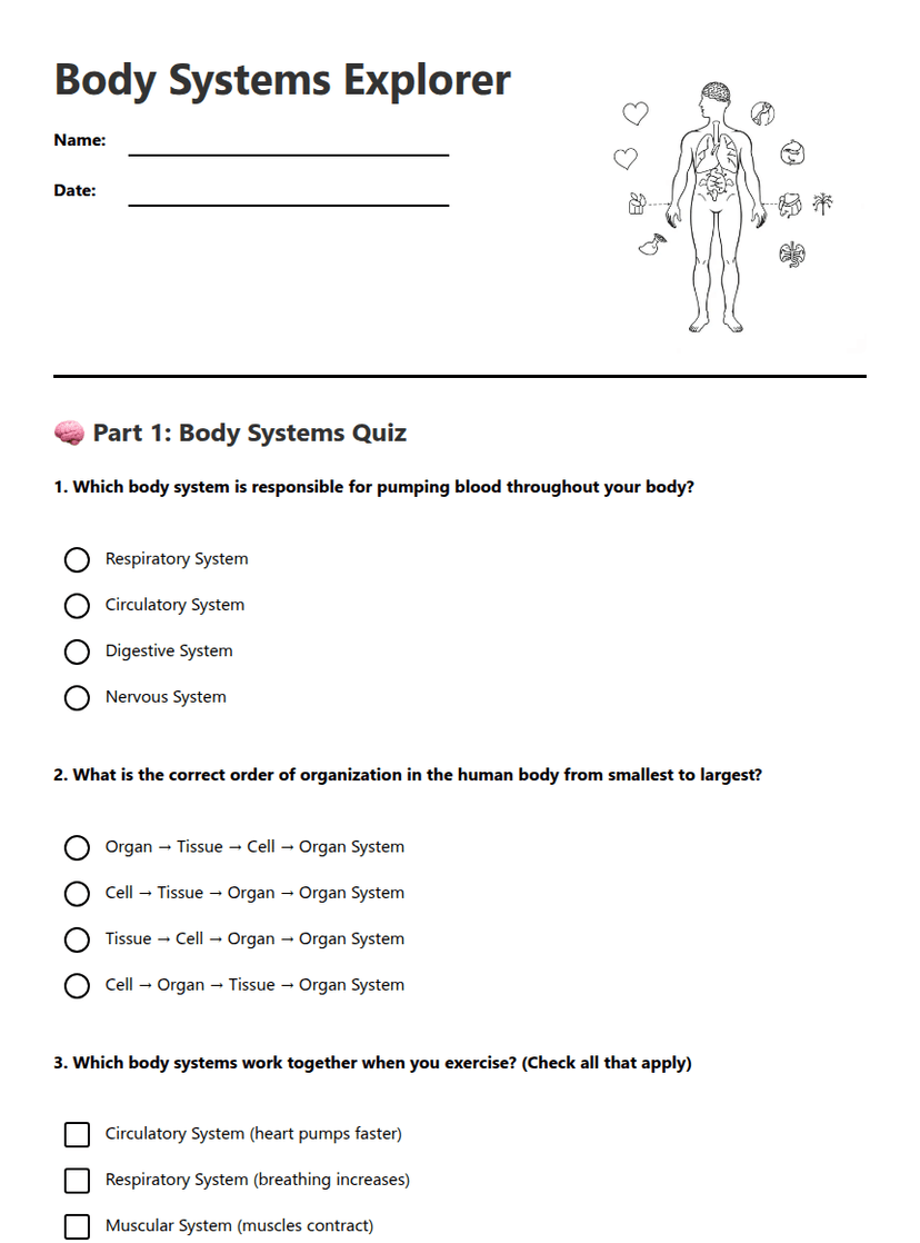 Body Systems Explorer