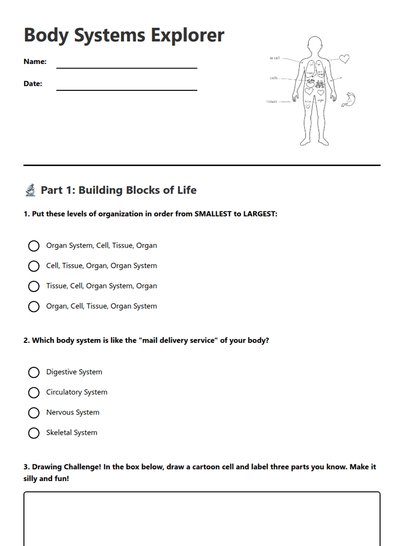 Body Systems Explorer