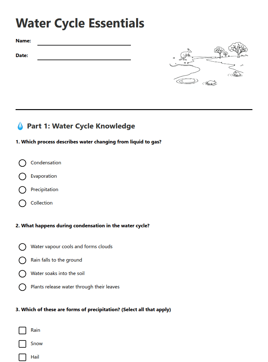 Water Cycle Essentials worksheet preview