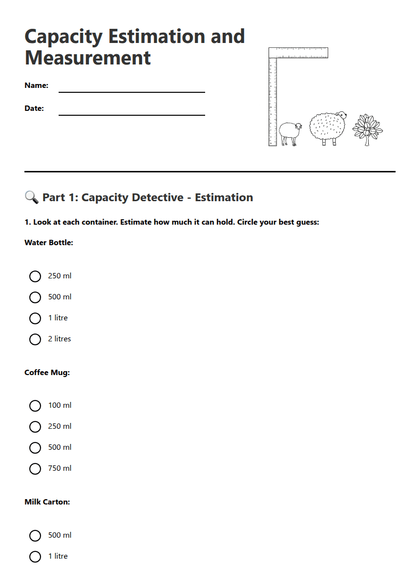 Capacity Estimation and Measurement worksheet preview