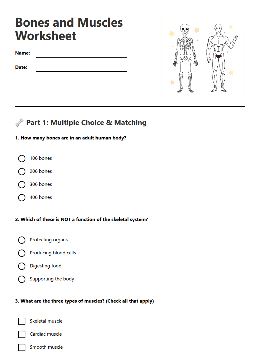 Bones and Muscles Worksheet worksheet preview