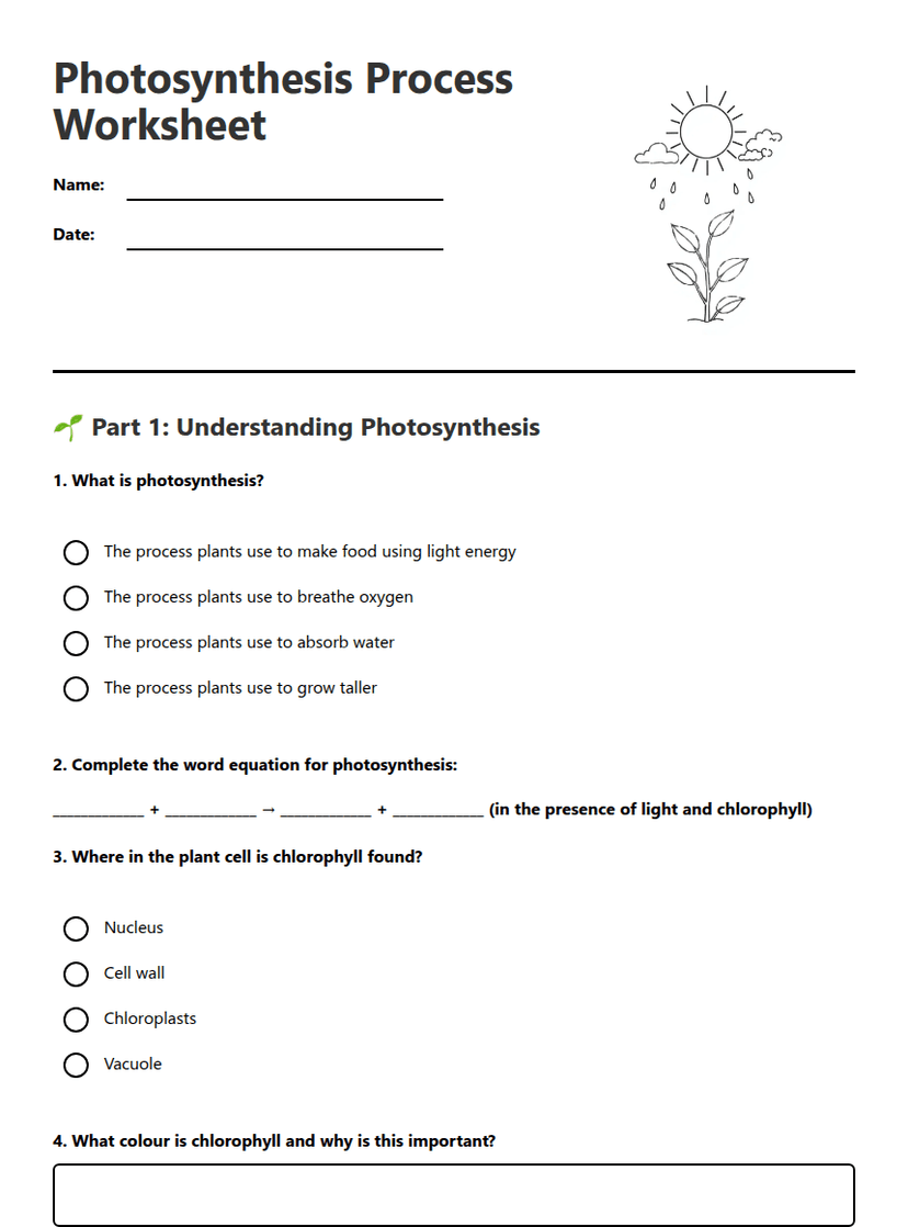 Photosynthesis Process Worksheet