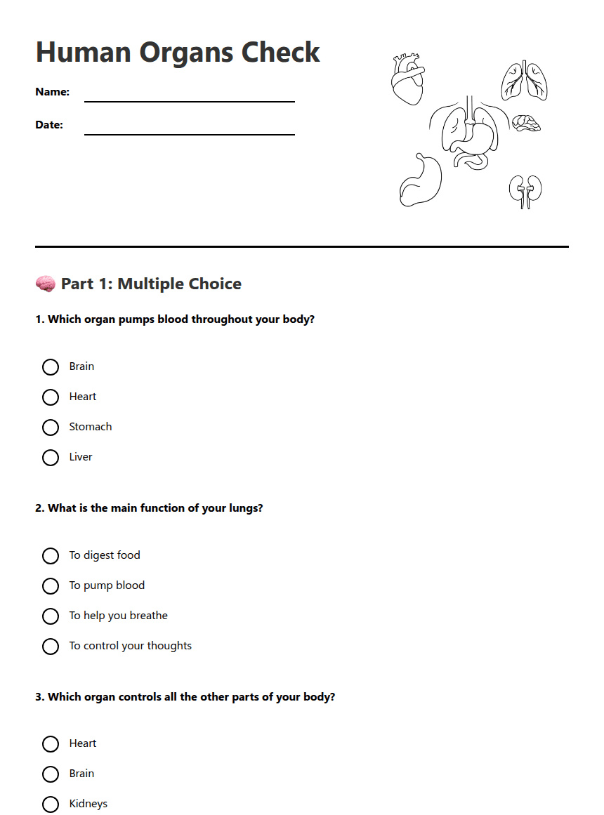 Human Organs Check worksheet preview