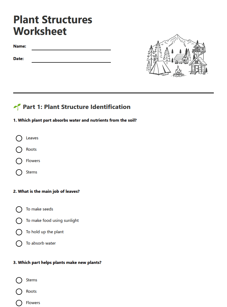 Plant Structures Worksheet worksheet preview