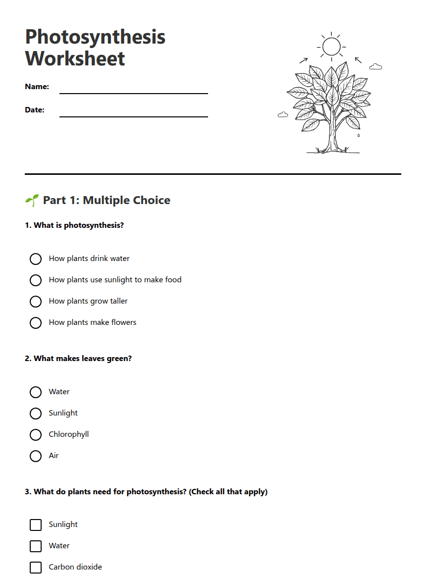 Photosynthesis Worksheet worksheet preview