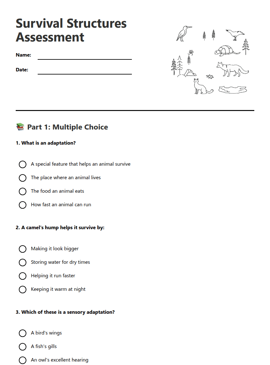 Survival Structures Assessment worksheet preview