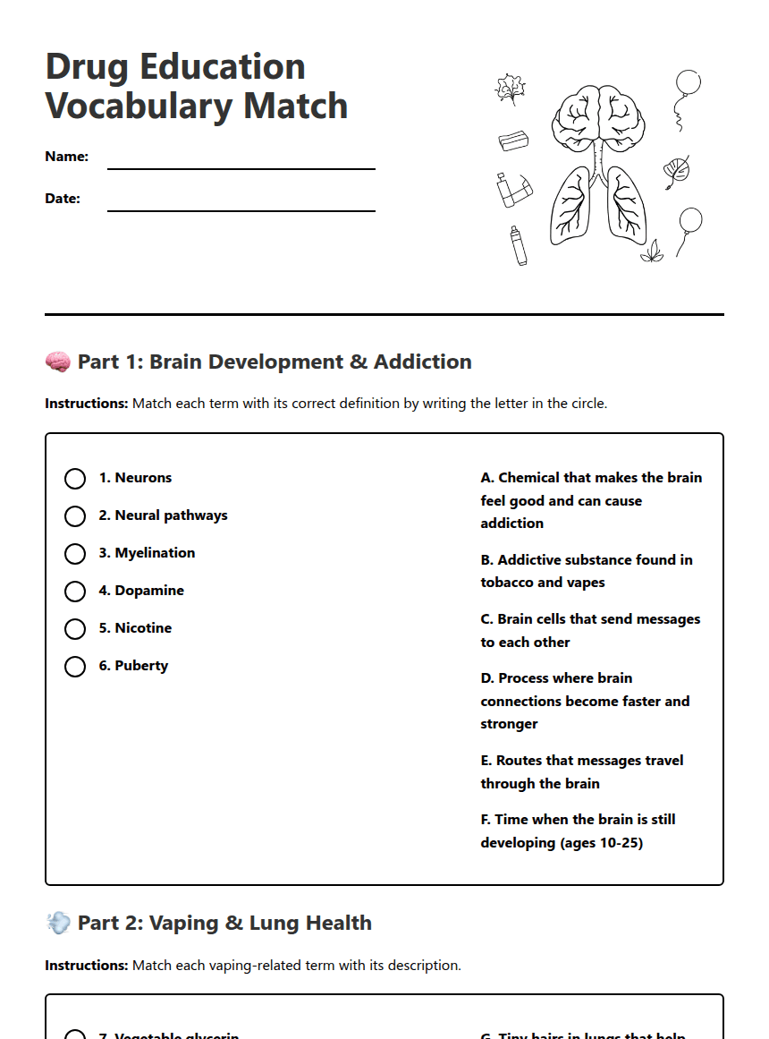 Drug Education Vocabulary Match worksheet preview
