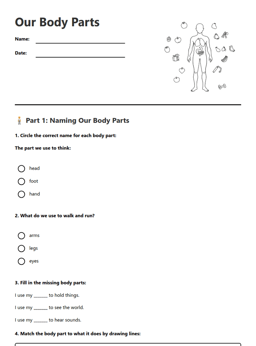 Our Body Parts