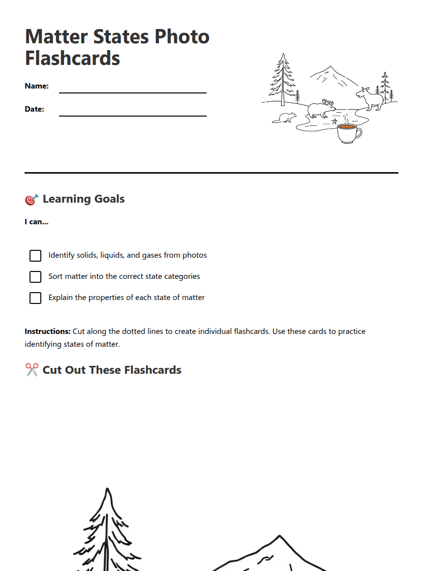 Matter States Photo Flashcards worksheet preview