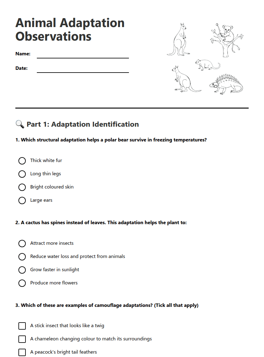 Animal Adaptation Observations worksheet preview