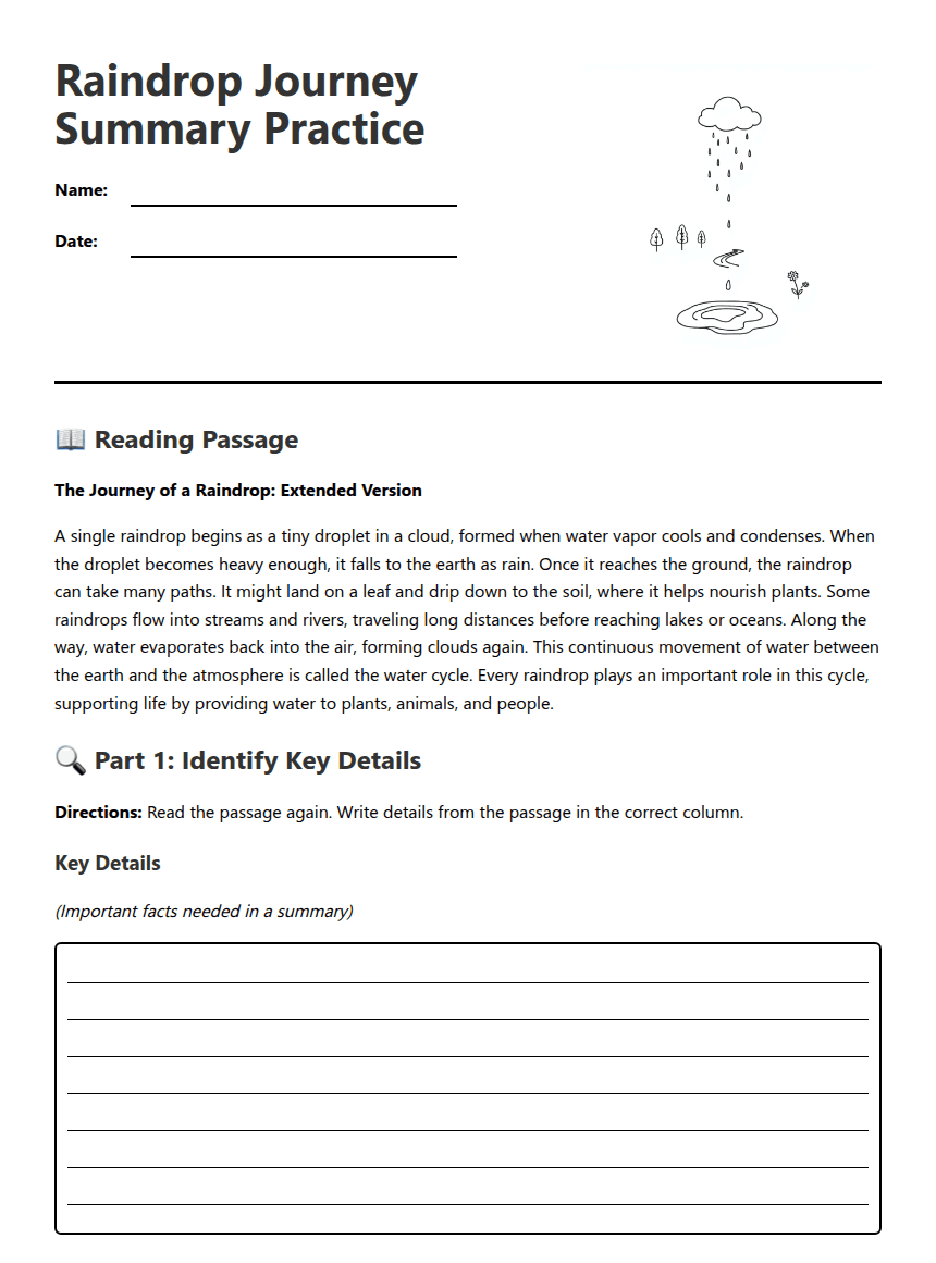 Raindrop Journey Summary Practice worksheet preview