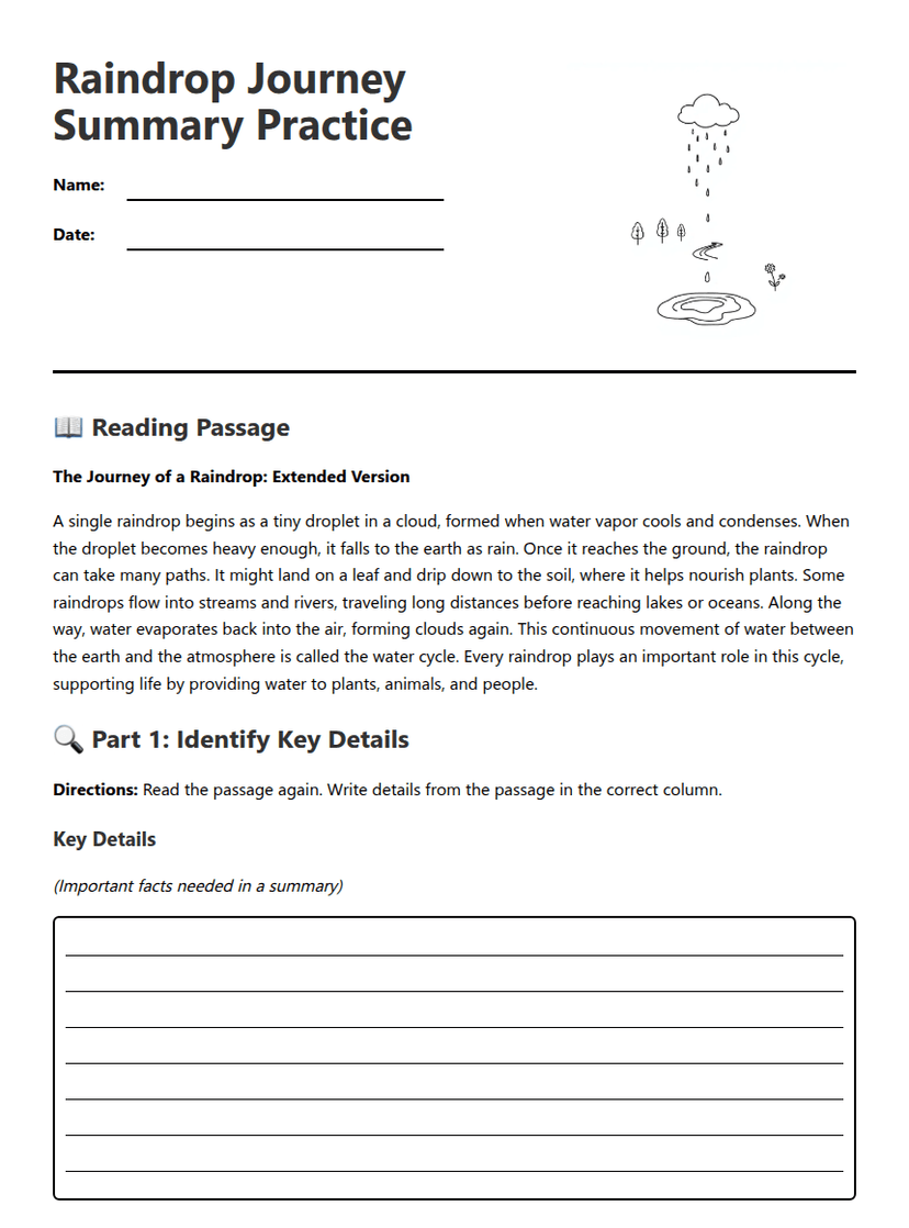 Raindrop Journey Summary Practice