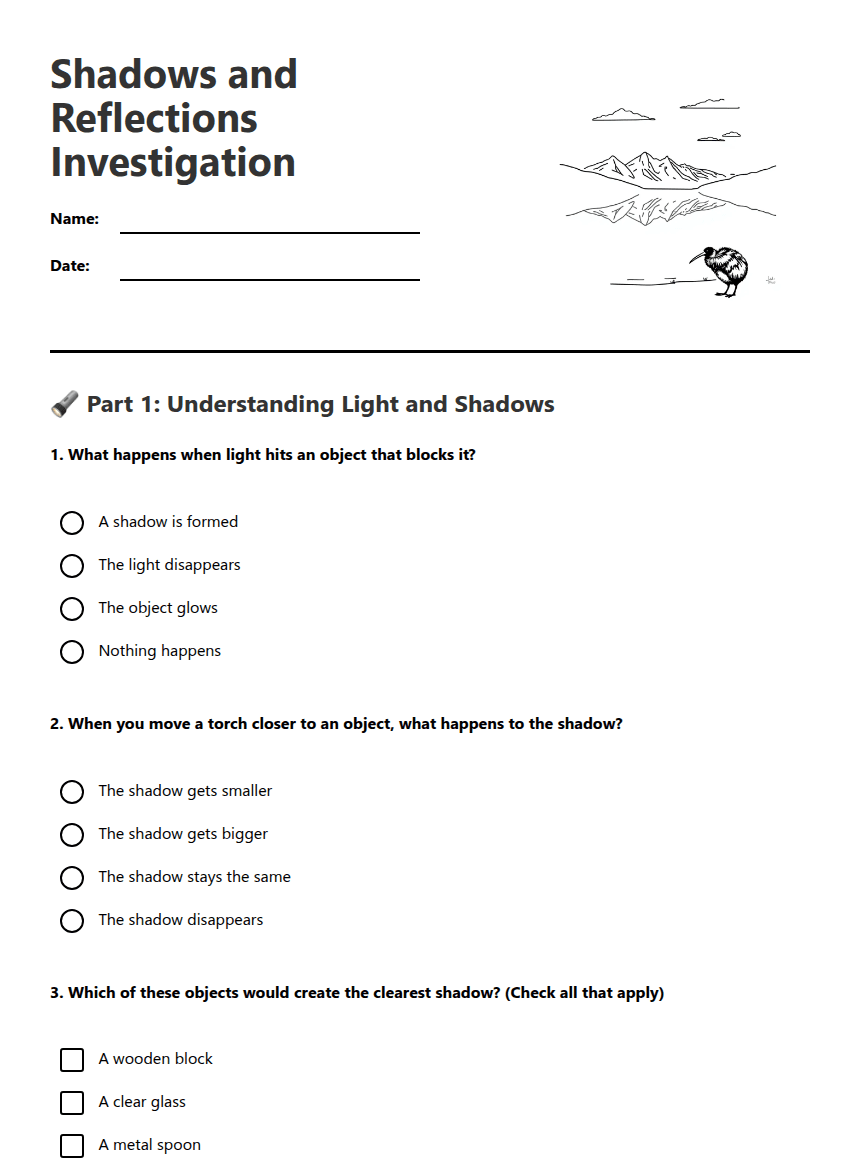 Shadows and Reflections Investigation worksheet preview