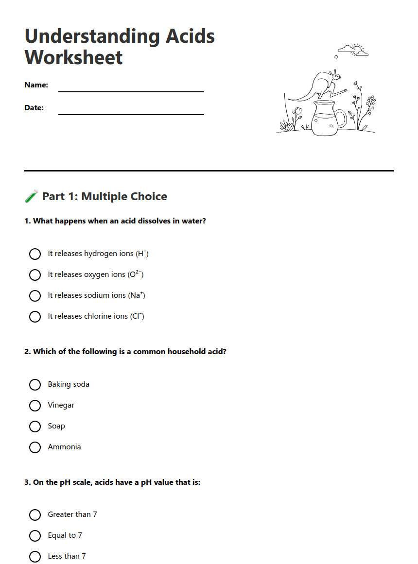 Understanding Acids Worksheet worksheet preview