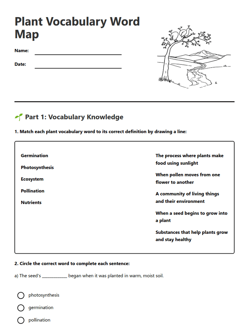 Plant Vocabulary Word Map