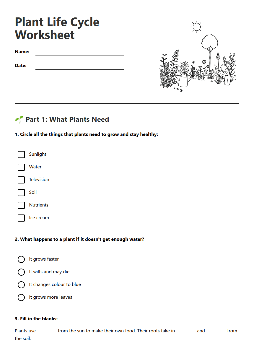 Plant Life Cycle Worksheet worksheet preview