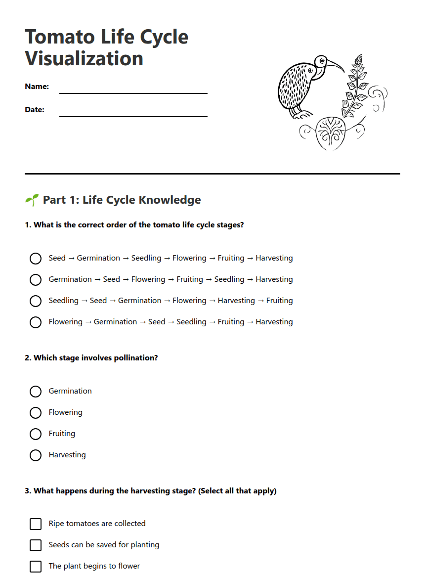 Tomato Life Cycle Visualization worksheet preview