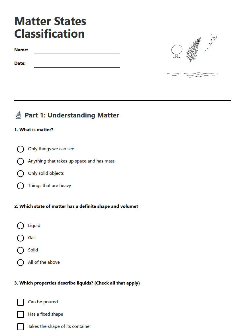 Matter States Classification worksheet preview