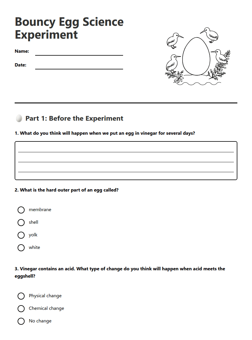 Bouncy Egg Science Experiment worksheet preview