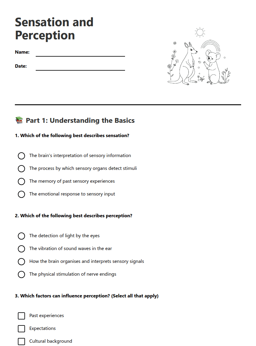 Sensation and Perception worksheet preview