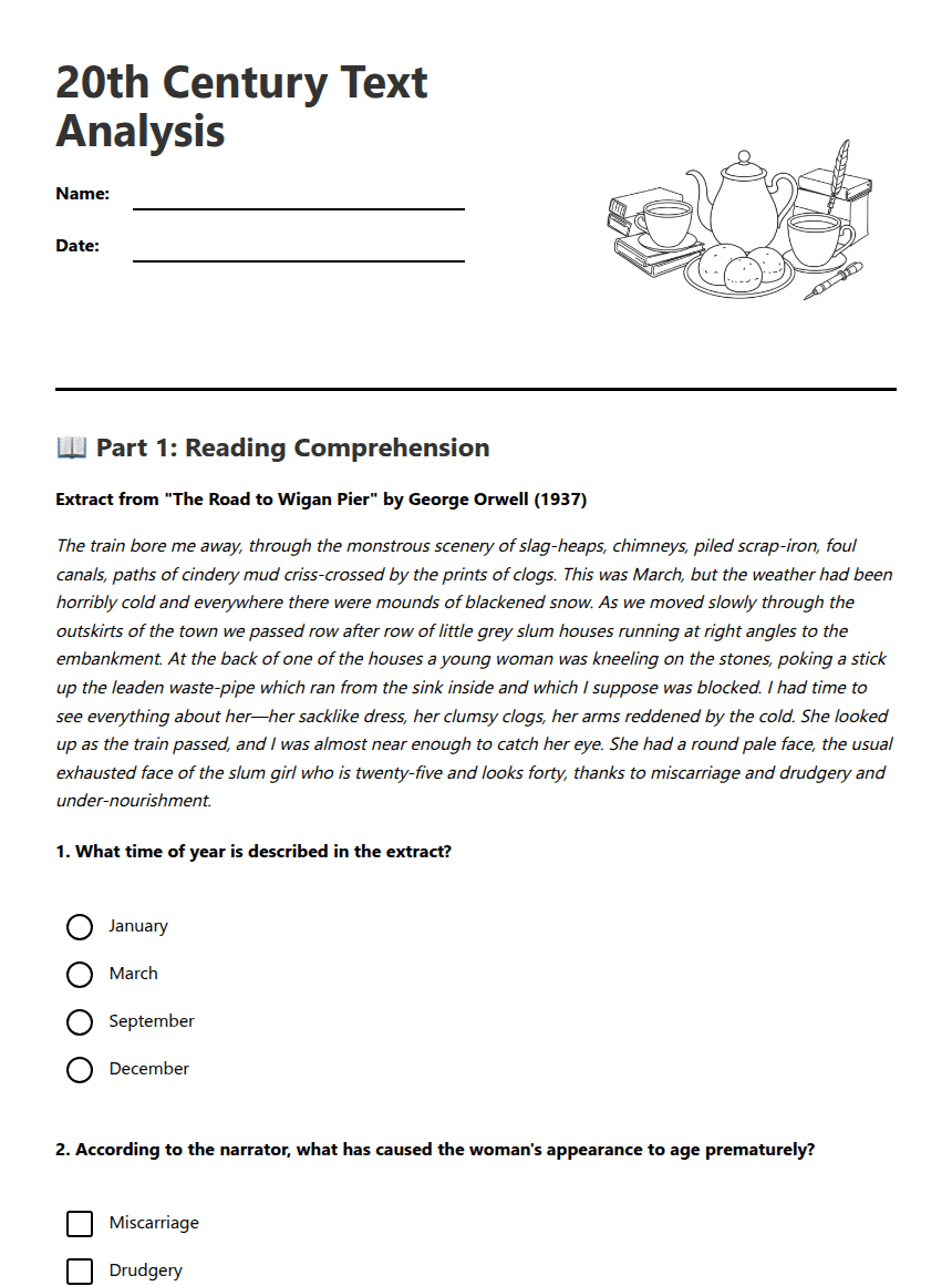 20th Century Text Analysis worksheet preview