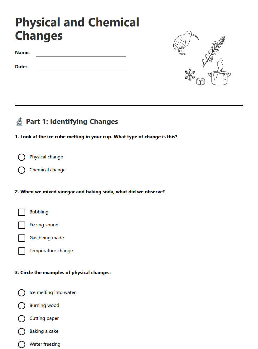Physical and Chemical Changes worksheet preview