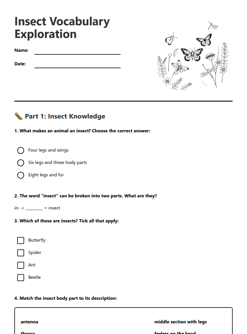 Insect Vocabulary Exploration worksheet preview