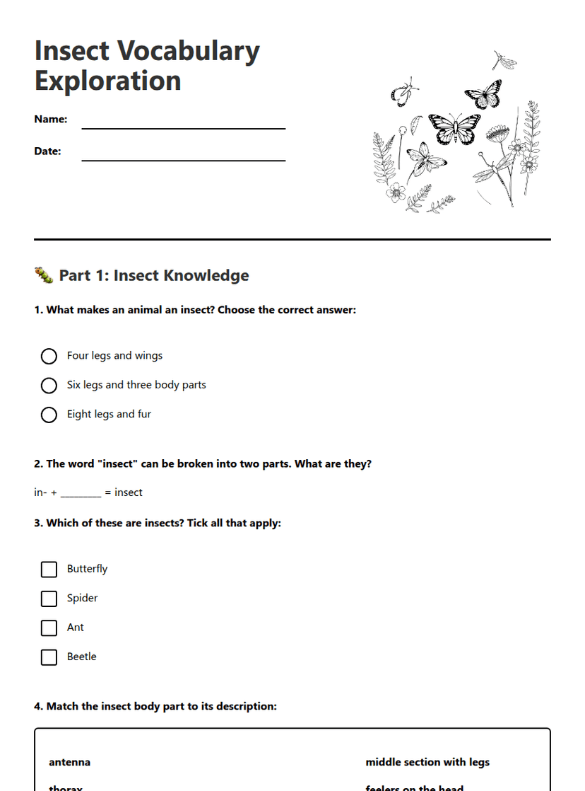 Insect Vocabulary Exploration