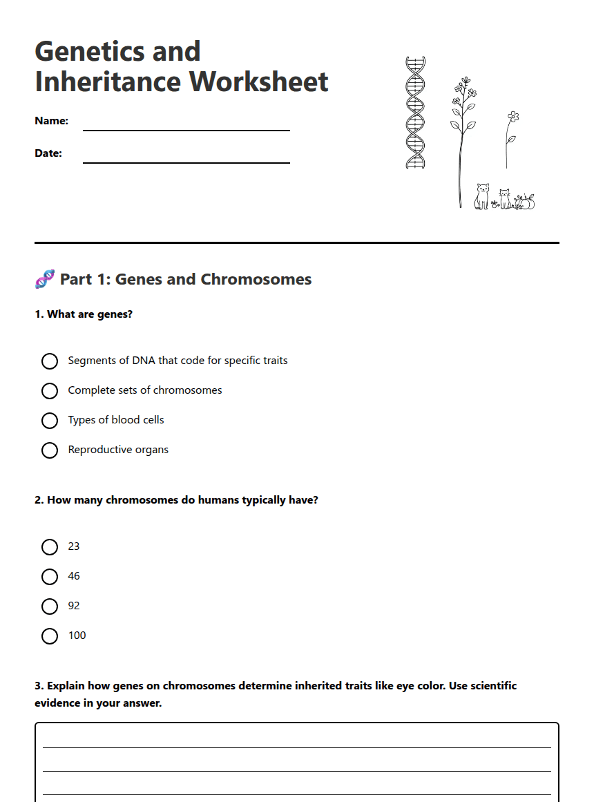 Genetics and Inheritance Worksheet worksheet preview