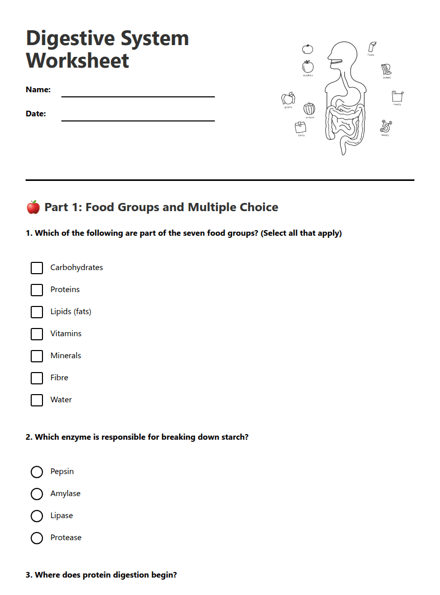 Digestive System Worksheet worksheet preview