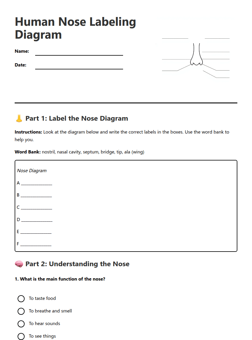 Human Nose Labeling Diagram worksheet preview