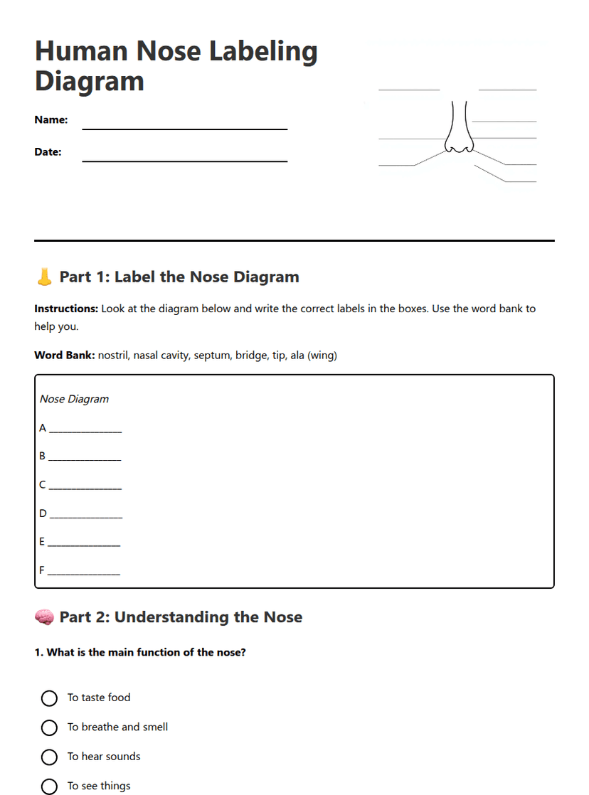 Human Nose Labeling Diagram