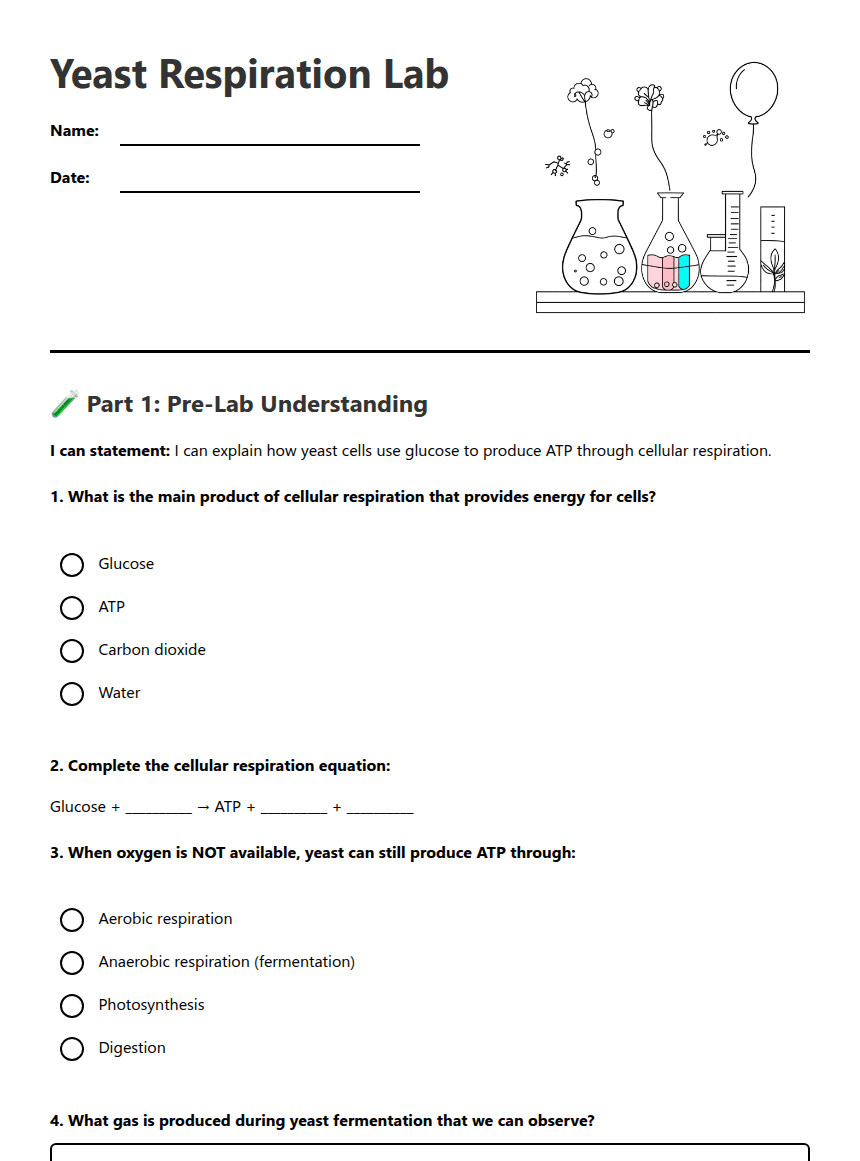 Yeast Respiration Lab worksheet preview