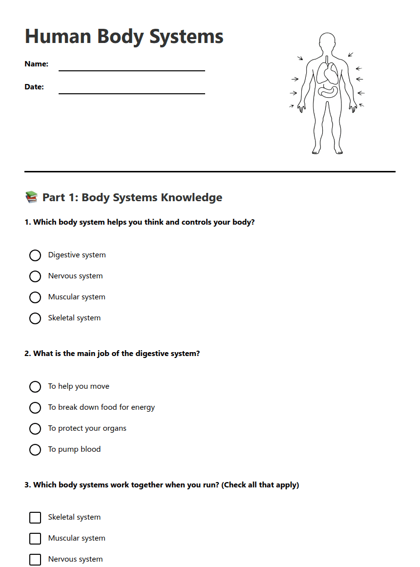 Human Body Systems worksheet preview