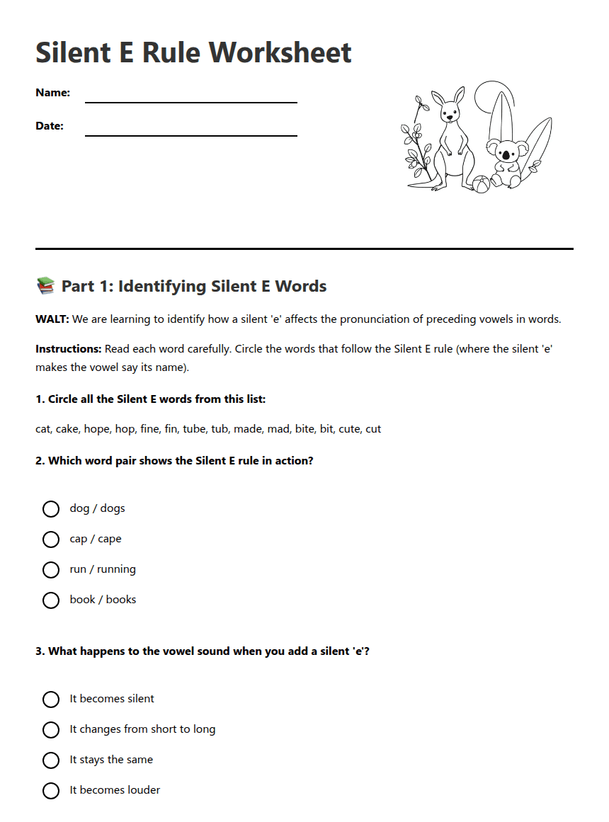 Silent E Rule Worksheet worksheet preview